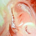 Lire la suite à propos de l’article Abstraite chaleur